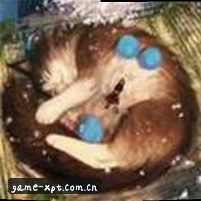 王磊